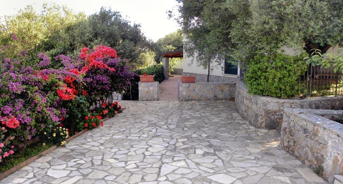 Seamoon Residence Marina di Camerota Exterior foto